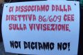 Roma – Manifestazione contro la vivisezione.