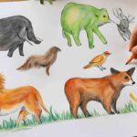 rispetto per gli animali